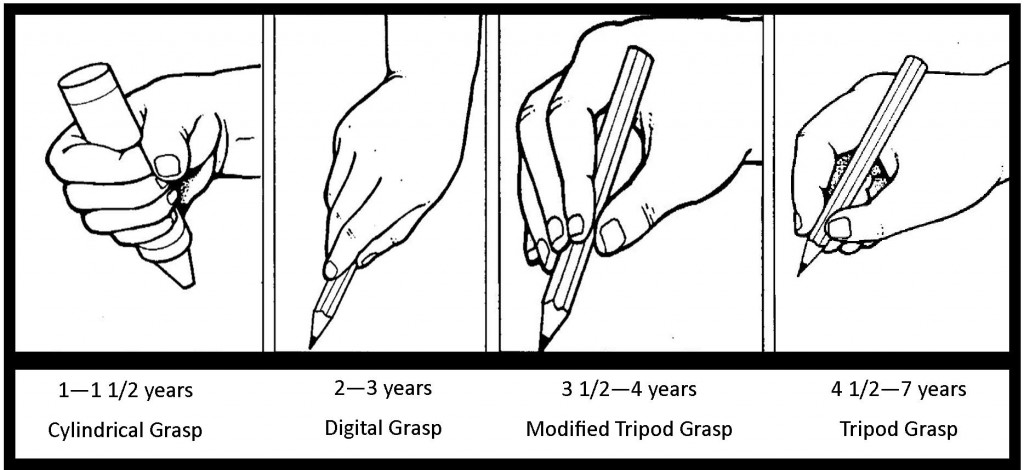 طریقه گرفتن مداد در دست در سنین مختلف 